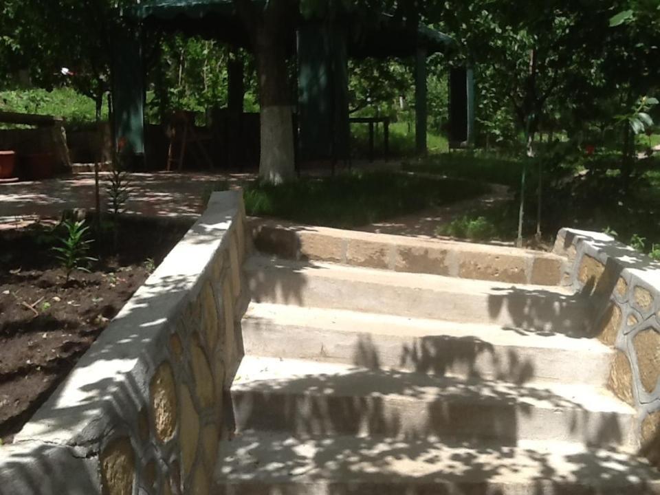 Pension Garofita Iasi Esterno foto